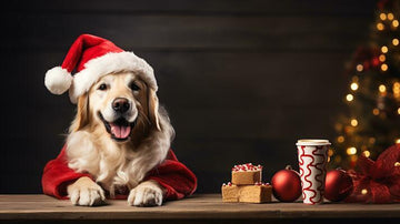 A Pet-Perfect Holiday Season with Our Slicker Brush! - Flying Pawfect Store