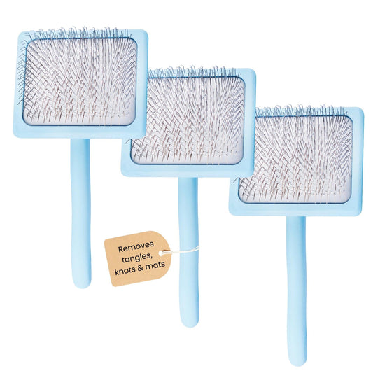 3 Pack - Flat Slicker Brush - Baby Blue - Large - Flying Pawfect Store