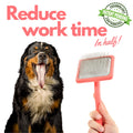 Flat Slicker Brush - Coral - Large - Flying Pawfect Store
