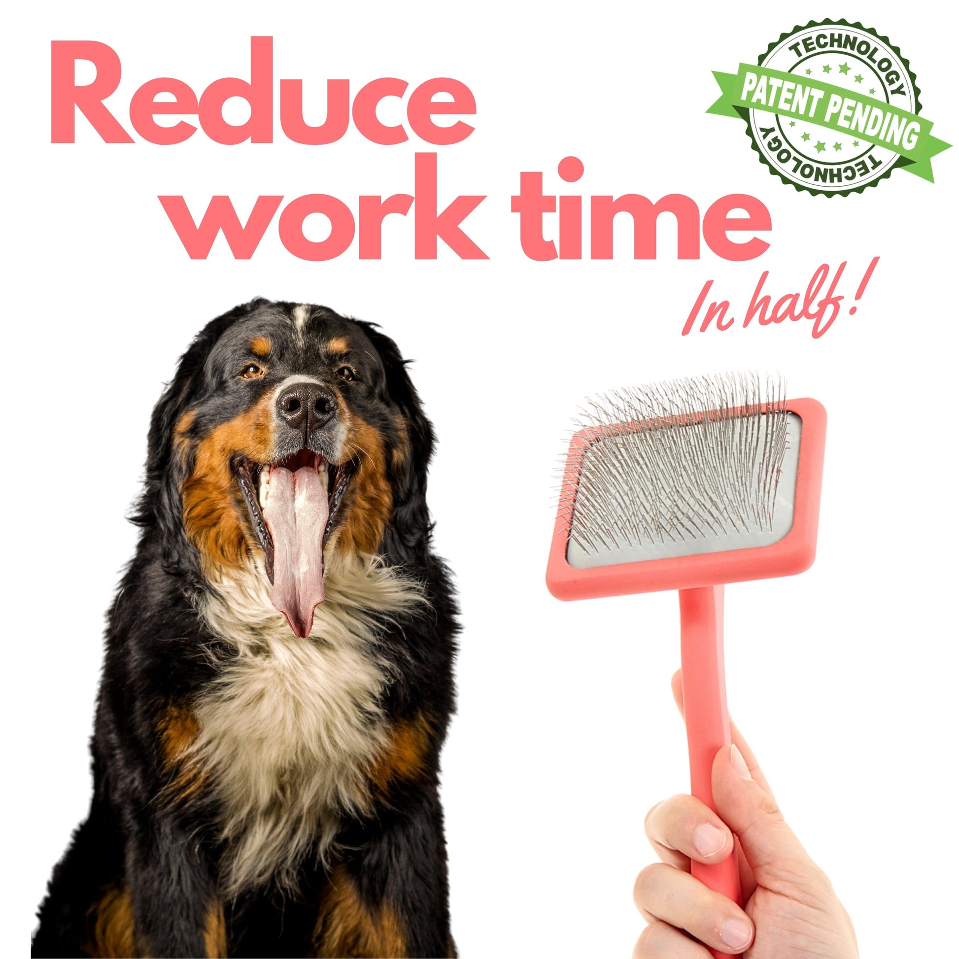 Flat Slicker Brush - Coral - Large - Flying Pawfect Store