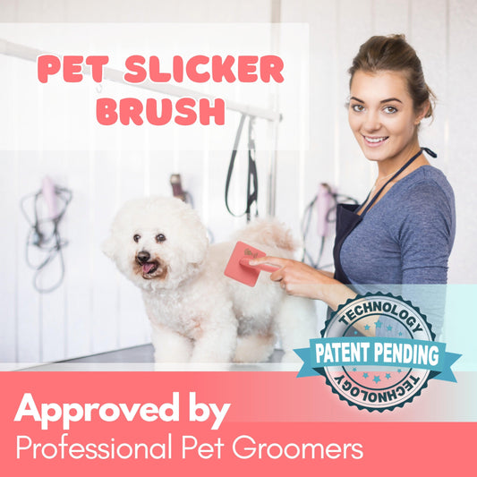3 Pack - Slicker Brush - 1 Baby Blue & 2 Coral - Flying Pawfect Store