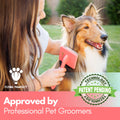 Flat Slicker Brush - Coral - Large - Flying Pawfect Store