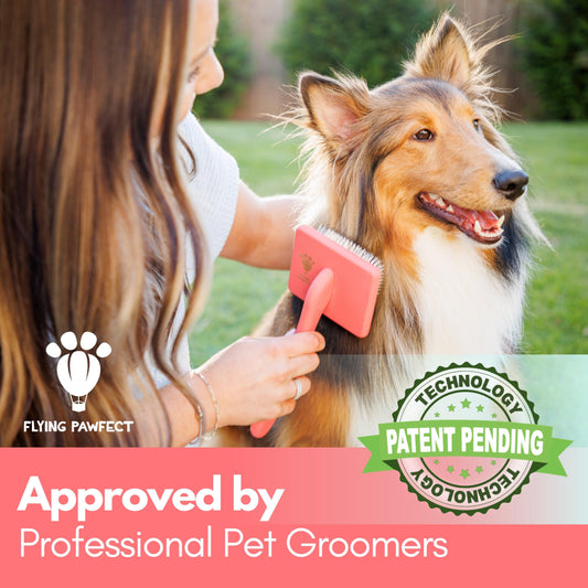 Flat Slicker Brush - Coral - Large - Flying Pawfect Store