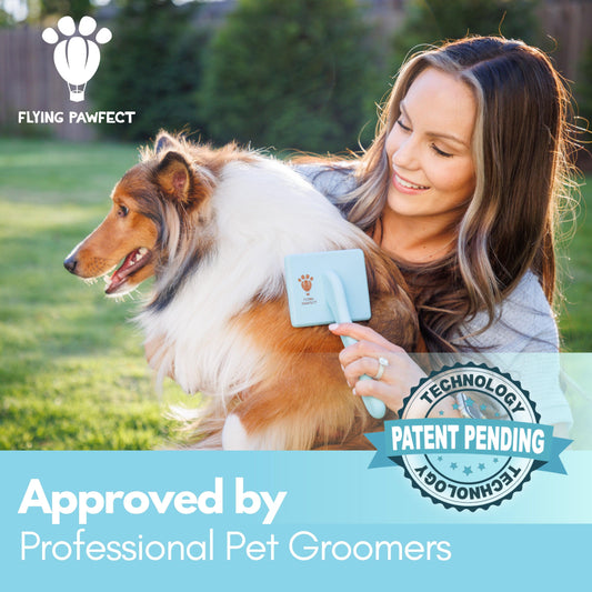 10 Pack - Flat Large Slicker Brush - Baby Blue - Flying Pawfect Store