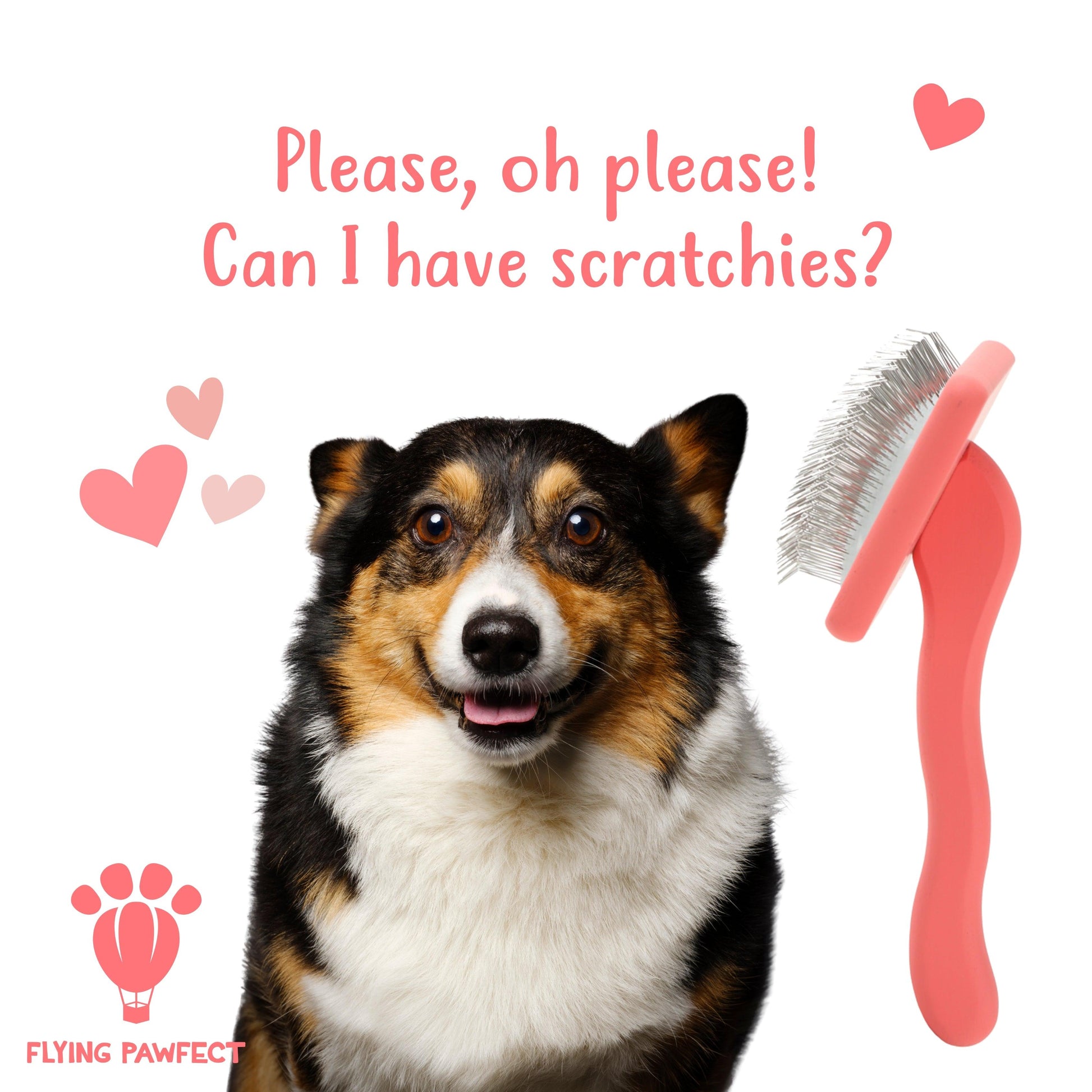 Curved Slicker Brush - Coral - Small Pet Brush - Flying Pawfect Store