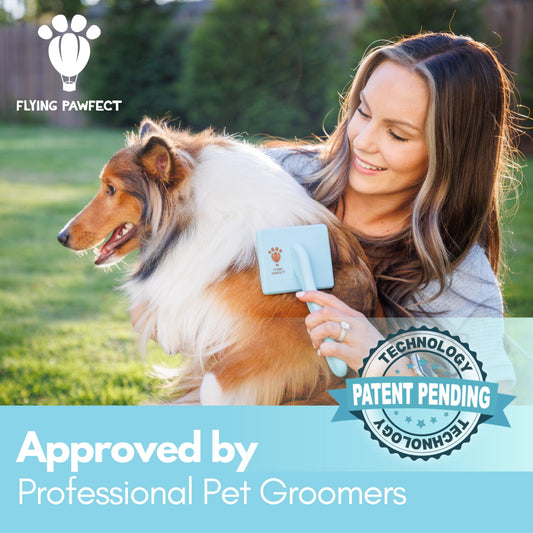 3 Pack - Flat Slicker Brush - Baby Blue - Large - Flying Pawfect Store