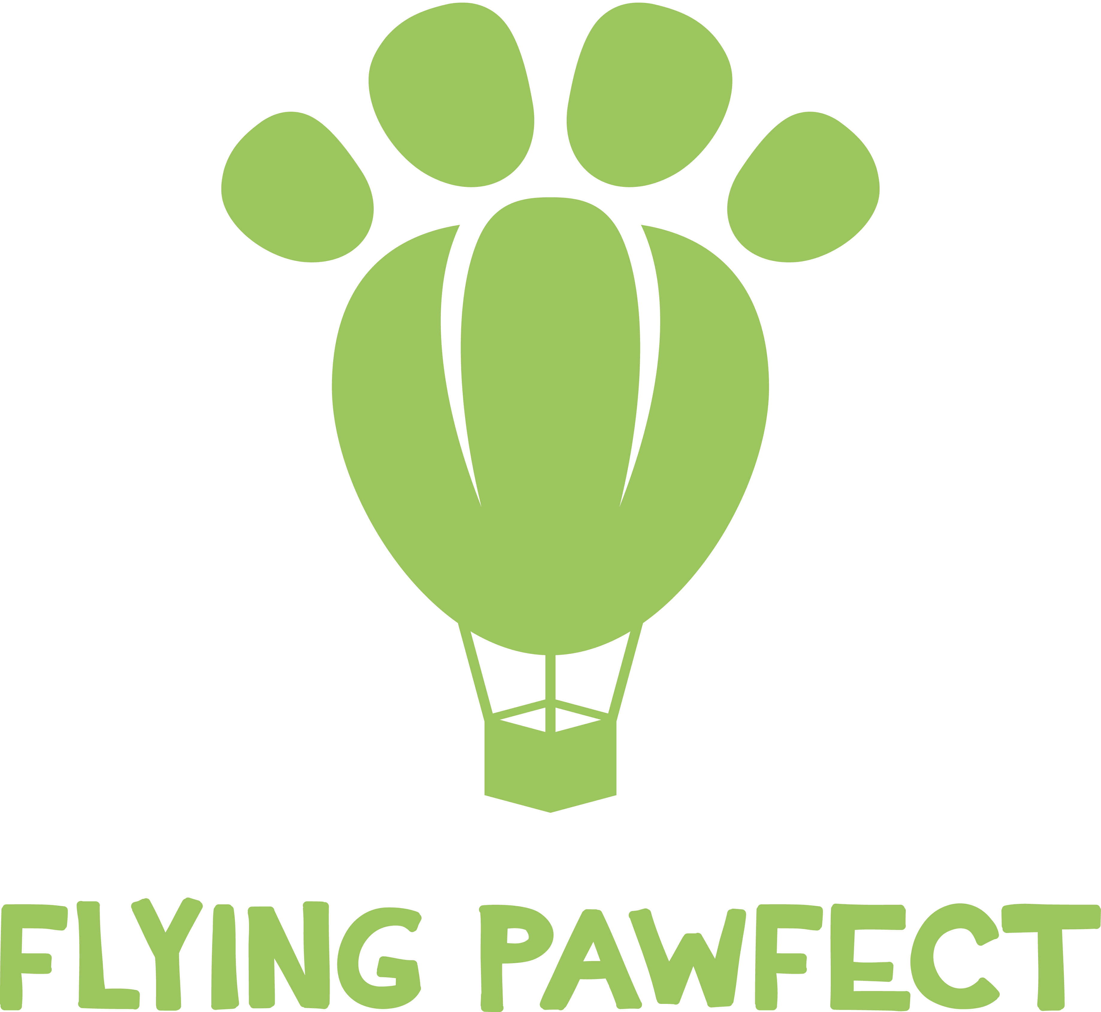 Flying Pawfect Store