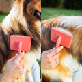 Flat Slicker Brush - Coral - Large - Flying Pawfect Store