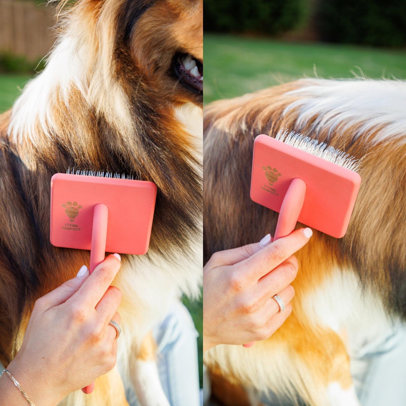 Flat Slicker Brush - Coral - Large - Flying Pawfect Store