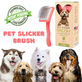 Flat Slicker Brush - Coral - Large - Flying Pawfect Store