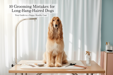 Top 10 Long-Haired Dog Grooming Mistakes