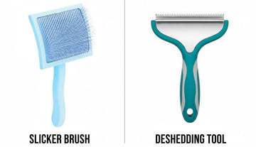 Slicker Brush vs Deshedding Tool | Which Is Better for Shedding Dogs?