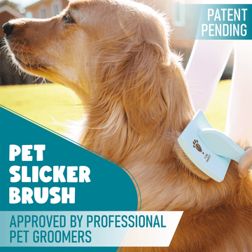 Flying Pawfect small curved slicker brush in baby blue