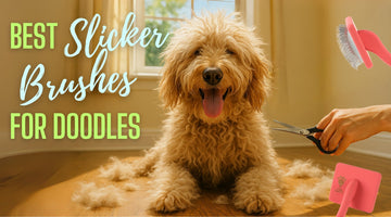 Best Slicker Brushes for Doodles