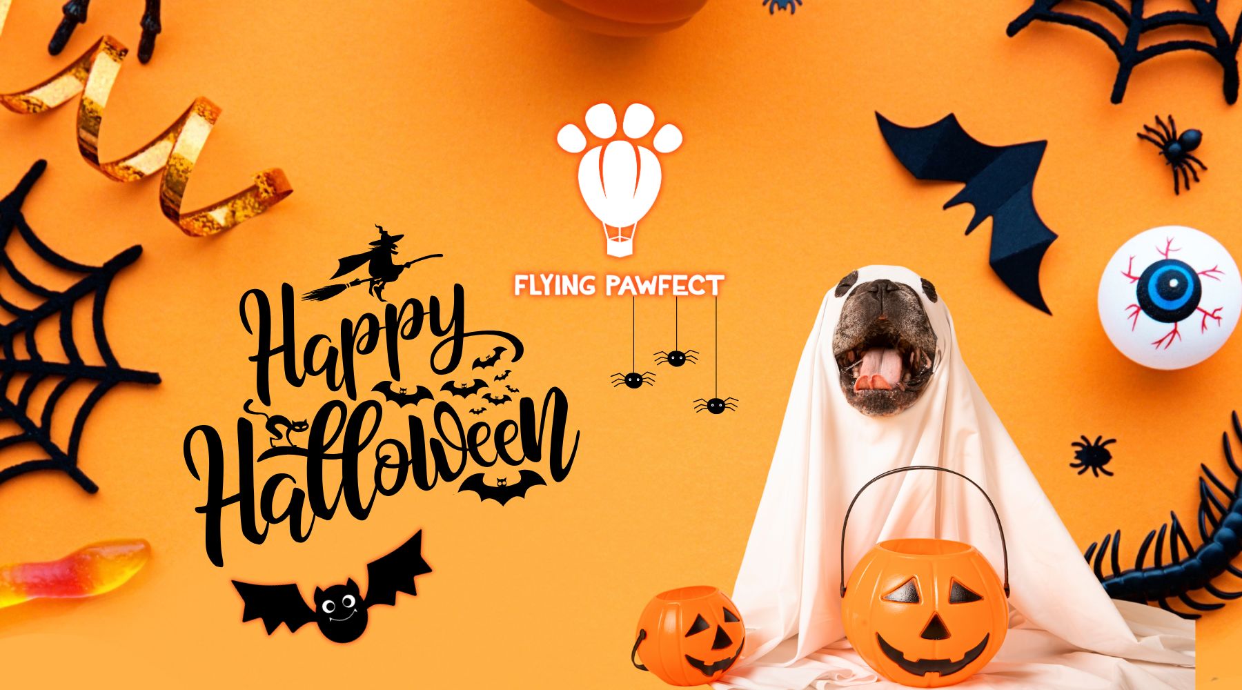 Spooky Paws and Pet Safety: Preparing for Halloween with Your Furry Friends