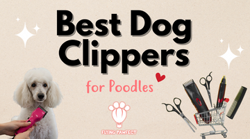 Best Dog Clippers for Poodles – Top 10 Picks!