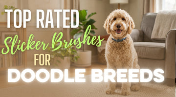 Top-Rated Slicker Brushes for Doodle Breeds (2026 Guide)