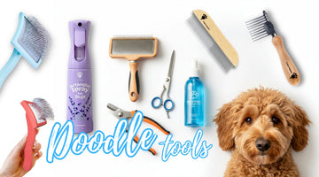 Best Grooming Tools for a Goldendoodle (Complete Guide 2026)