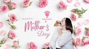 The Unconditional Love of a Dog Mom - Flying Pawfect Store