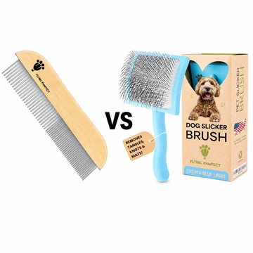 Dog Comb vs Slicker Brush | Why Long Coats Need Both