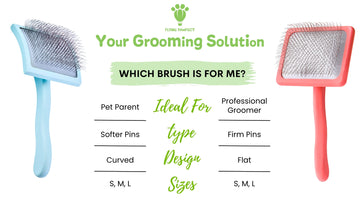 Flat vs Curved Slicker Brush (Which One is Better?)