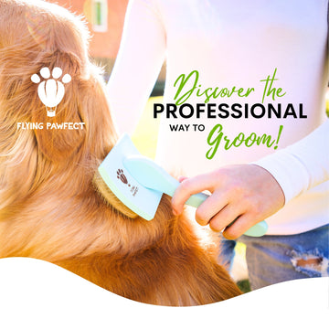 Discover the professional way to groom. A dog being brushed with a blue slicker brush.