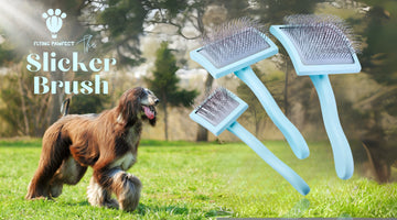 Flying Pawfect Slicker Brushes | Best Professional Dog Grooming Brush 2025