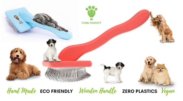 Eco-Friendly Dog Grooming Tools | Sustainable Pet Care