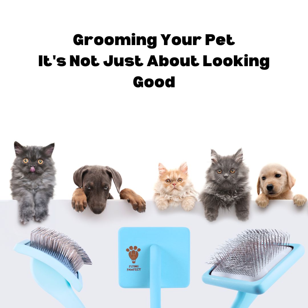 Grooming Your Pet: It's Not Just About Looking Good