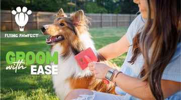 Flying Pawfect | The Ultimate Solution for Dog Shedding Control