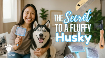 Husky Grooming Secrets | Tools for a Fluffy, Matt-Free Coat