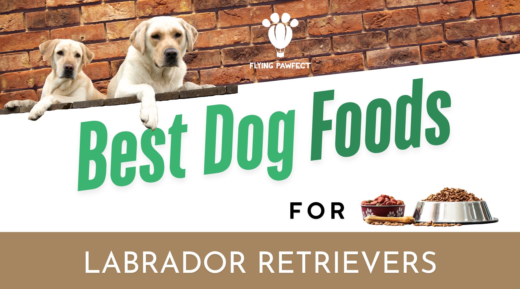 Best Dog Food for Labrador Retrievers – Top 5!