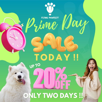 An Amazon Prime Big Deal Days banner with a white Samoyed dog and a happy woman!