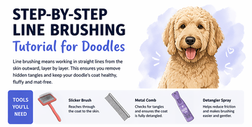 Step-by-Step Line Brushing Tutorial for Doodles (With Visual Guide)