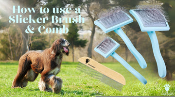 How to Use a Slicker Brush and Comb Together
