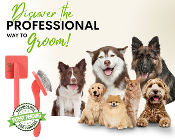 Why We Created the Flying Pawfect Slicker Brush
