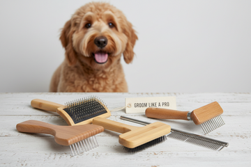Slicker brush brands most recommended for doodle grooming