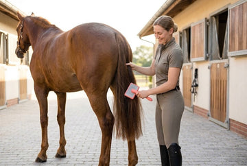 A woman in a stable yard brushing the tail of a chestnut horse with a coral Flying Pawfect slicker brush, holding the hair above the brush
