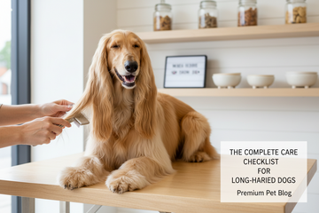 Blonde Afghan Hound getting it's hair brushed on a wooden table