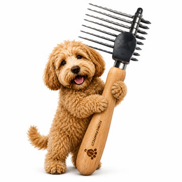 A Goldendoodle puppy standing up against the Flying Pawfect Dematting Rake on a white background
