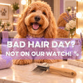 A Goldendoodle at a grooming vanity with the Flying Pawfect Dematting Rake on the counter