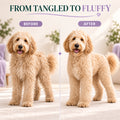 Before and after of a Goldendoodle groomed with the Flying Pawfect Dematting Rake