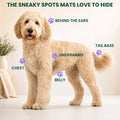 A Goldendoodle with the places mats form marked: behind the ears, chest, underarms, belly and tail base
