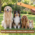 A Golden Retriever, Shetland Sheepdog, Cavalier King Charles Spaniel and long haired Chihuahua on grass with the Flying Pawfect Long Tooth Comb