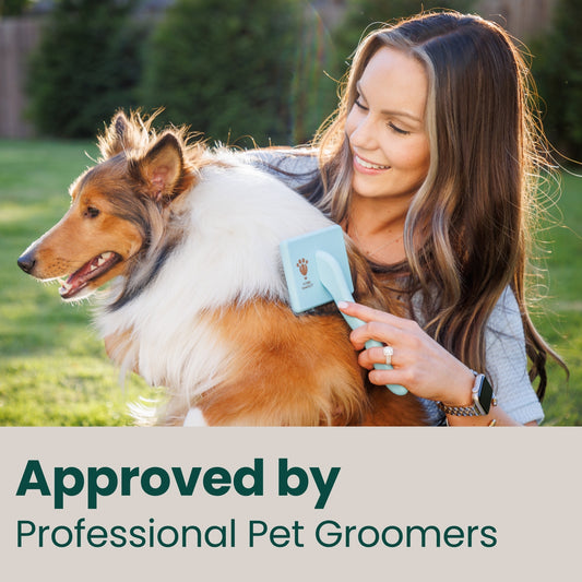 [FBM][FBS] Groomer approved baby blue flat slicker brush