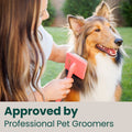 [CL] Groomer approved coral flat slicker brush being used on a collie